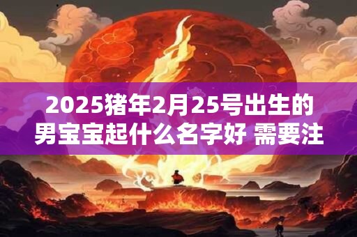 2025猪年2月25号出生的男宝宝起什么名字好 需要注意什么