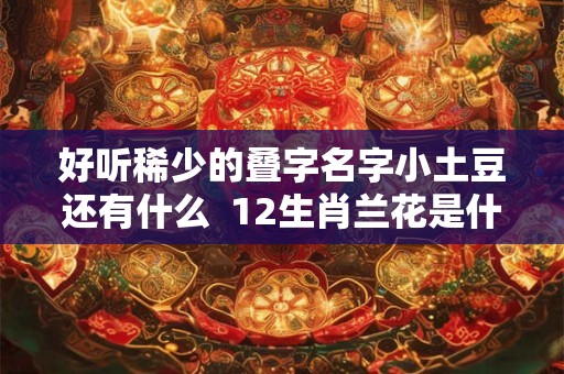 好听稀少的叠字名字小土豆还有什么 12生肖兰花是什么生肖 好听稀少的叠字名字小土豆还有什么 12生肖兰花是什么生肖