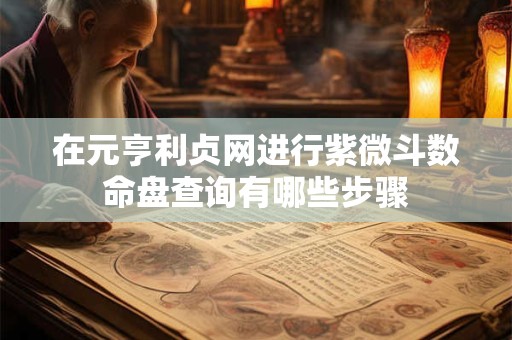 在元亨利贞网进行紫微斗数命盘查询有哪些步骤