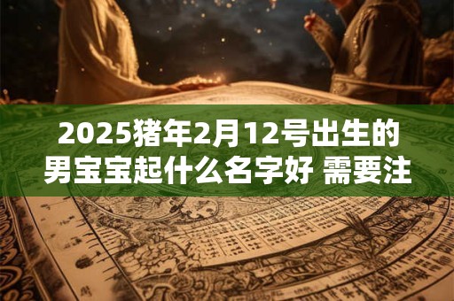 2026猪年2月12号出生的男宝宝起什么名字好 需要注意什么