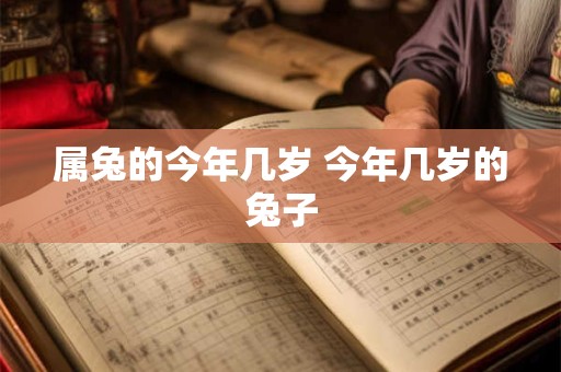 属兔的今年几岁 今年几岁的兔子