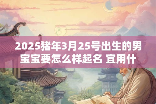 2025猪年3月25号出生的男宝宝要怎么样起名 宜用什么字