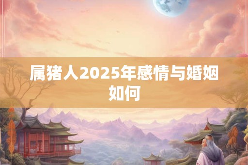 属猪人2025年感情与婚姻如何