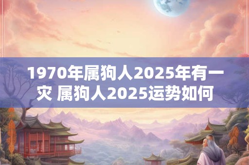 1970年属狗人2025年有一灾 属狗人2025运势如何