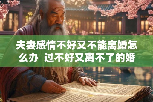 夫妻感情不好又不能离婚怎么办  过不好又离不了的婚姻该怎么办