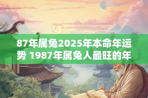 87年属兔2025年本命年运势 1987年属兔人最旺的年龄