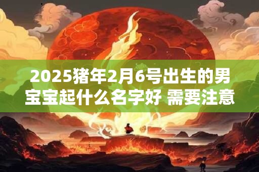2025猪年2月6号出生的男宝宝起什么名字好 需要注意什么
