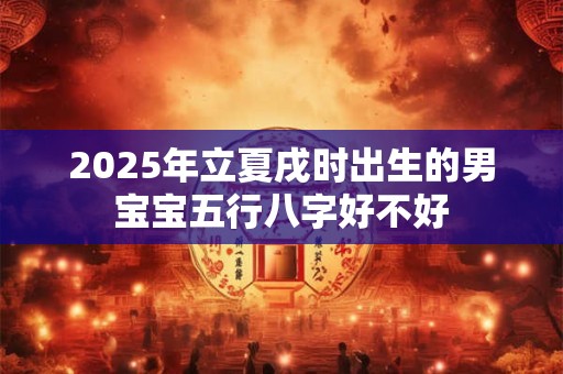 2025年立夏戌时出生的男宝宝五行八字好不好