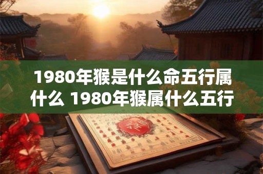 1980年猴是什么命五行属什么 1980年猴属什么五行命