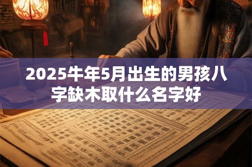 2025牛年5月出生的男孩八字缺木取什么名字好