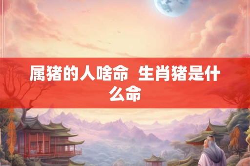 属猪的人啥命  生肖猪是什么命