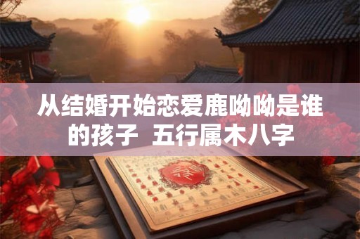 从结婚开始恋爱鹿呦呦是谁的孩子  五行属木八字