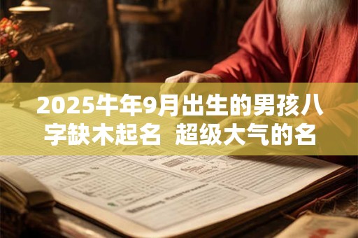 2026牛年9月出生的男孩八字缺木起名  超级大气的名字推荐