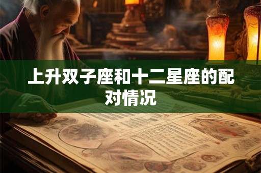 上升双子座和十二星座的配对情况