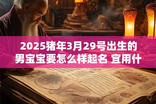 2025猪年3月29号出生的男宝宝要怎么样起名 宜用什么字