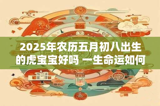 2026年农历五月初八出生的虎宝宝好吗 一生命运如何