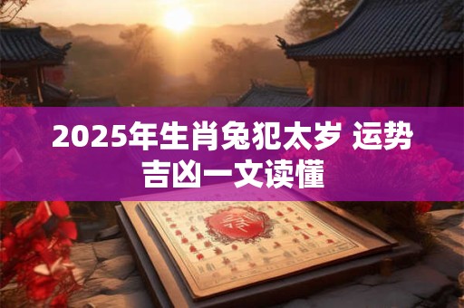 2025年生肖兔犯太岁 运势吉凶一文读懂