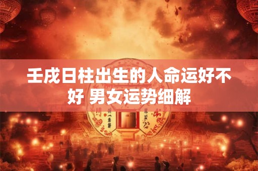 壬戌日柱出生的人命运好不好 男女运势细解