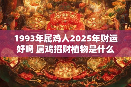 1993年属鸡人2025年财运好吗 属鸡招财植物是什么