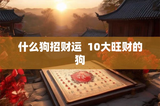 什么狗招财运  10大旺财的狗