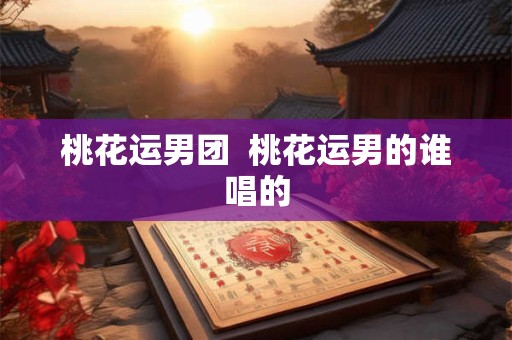 桃花运男团  桃花运男的谁唱的