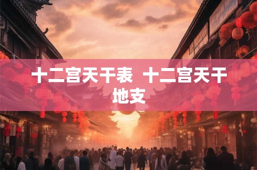 十二宫天干表  十二宫天干地支