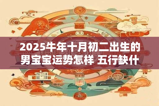2025牛年十月初二出生的男宝宝运势怎样 五行缺什么