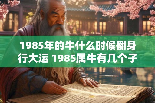 1985年的牛什么时候翻身行大运 1985属牛有几个子女