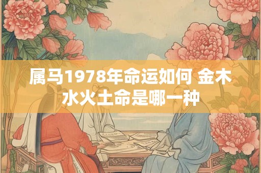 属马1978年命运如何 金木水火土命是哪一种