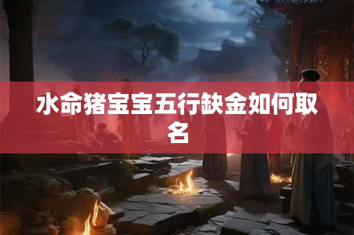 水命猪宝宝五行缺金如何取名