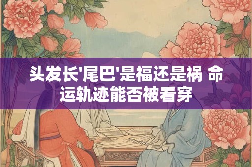 头发长'尾巴'是福还是祸 命运轨迹能否被看穿
