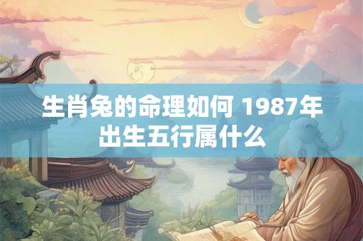 生肖兔的命理如何 1987年出生五行属什么