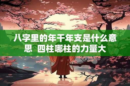 八字里的年干年支是什么意思  四柱哪柱的力量大