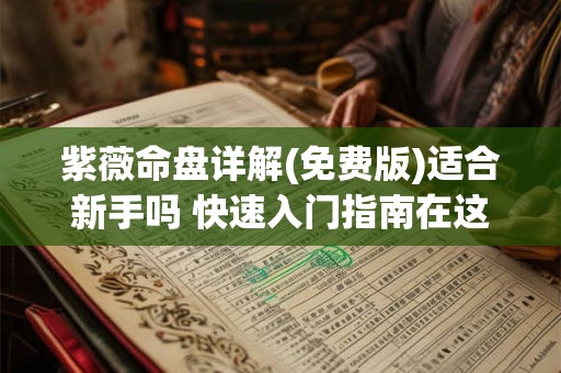 紫薇命盘详解(免费版)适合新手吗 快速入门指南在这里 紫薇命盘详解(免费版)适合新手吗 快速入门指南在这里