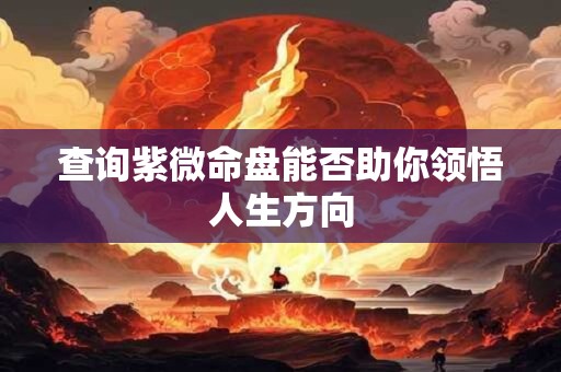 查询紫微命盘能否助你领悟人生方向