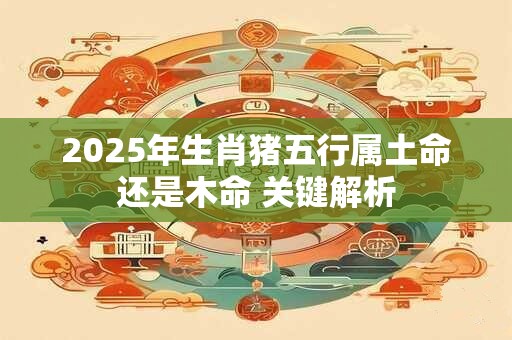 2025年生肖猪五行属土命还是木命 关键解析