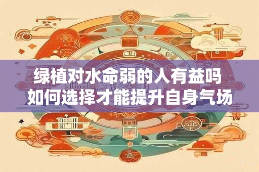绿植对水命弱的人有益吗 如何选择才能提升自身气场