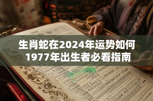 生肖蛇在2026年运势如何 1977年出生者必看指南