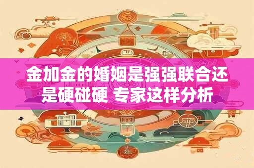 金加金的婚姻是强强联合还是硬碰硬 专家这样分析