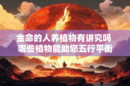 金命的人养植物有讲究吗 哪些植物能助您五行平衡