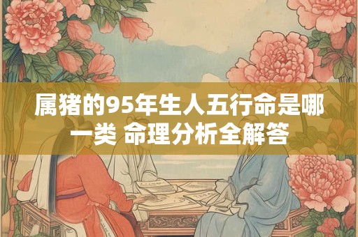属猪的95年生人五行命是哪一类 命理分析全解答