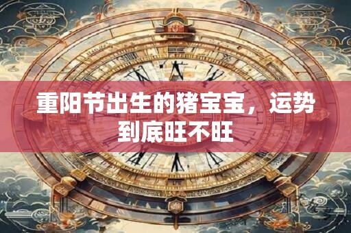 重阳节出生的猪宝宝，运势到底旺不旺