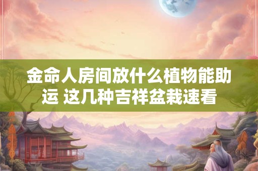 金命人房间放什么植物能助运 这几种吉祥盆栽速看