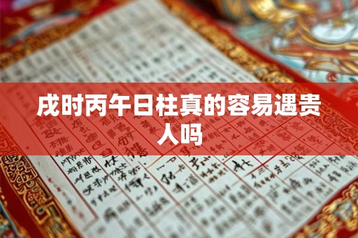 戌时丙午日柱真的容易遇贵人吗 戌时丙午日柱真的容易遇贵人吗