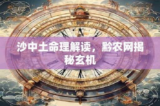沙中土命理解读，黔农网揭秘玄机