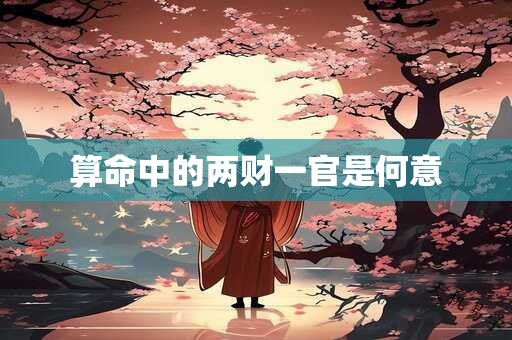 算命中的两财一官是何意