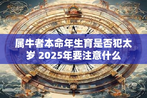 属牛者本命年生育是否犯太岁 2025年要注意什么