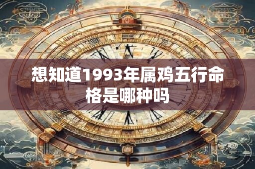 想知道1993年属鸡五行命格是哪种吗