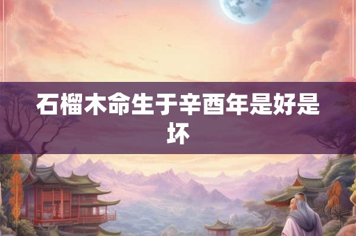 石榴木命生于辛酉年是好是坏