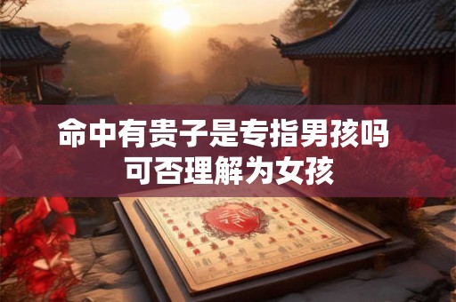 命中有贵子是专指男孩吗 可否理解为女孩